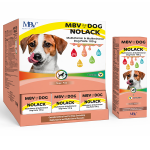 MBV DOG NOLACK